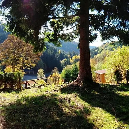 Schoene Aussicht בית נופש *