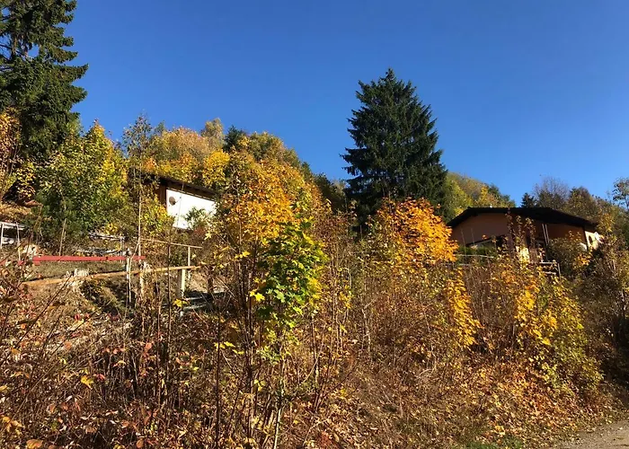 Tatil Evi Schoene Aussicht Sankt Andreasberg